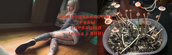 кокс Костерёво