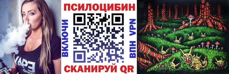 Купить  Миньяр  Псилоцибиновые грибы мицелий 